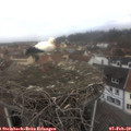 10_00-nest.jpg