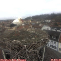 10_05-nest.jpg