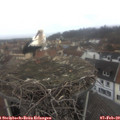 10_10-nest.jpg