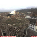 10_15-nest.jpg