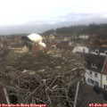 10_20-nest.jpg