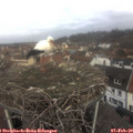 10_25-nest.jpg