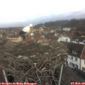 10_30-nest.jpg