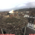 10_35-nest.jpg
