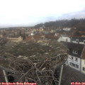 10_55-nest.jpg