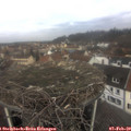 11_00-nest.jpg