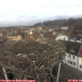 11_10-nest.jpg