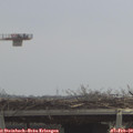 11_25-mast.jpg