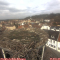 11_25-nest.jpg