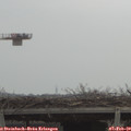 11_30-mast.jpg