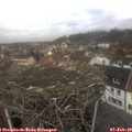 11_30-nest.jpg