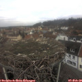 11_35-nest.jpg