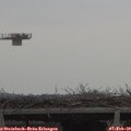 11_40-mast.jpg