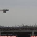 11_50-mast.jpg