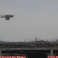 11_55-mast.jpg