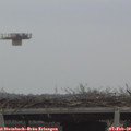 12_00-mast.jpg