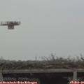 12_05-mast.jpg