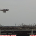 12_10-mast.jpg