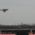 12_20-mast.jpg
