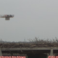 12_30-mast.jpg