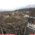 12_30-nest.jpg
