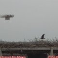 12_35-mast.jpg
