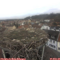 12_45-nest.jpg