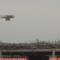 12_50-mast.jpg