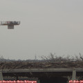 12_55-mast.jpg