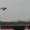 13_05-mast.jpg