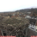 13_05-nest.jpg