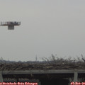 13_10-mast.jpg