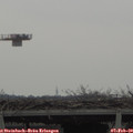 13_15-mast.jpg