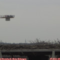 13_55-mast.jpg