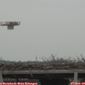 14_00-mast.jpg