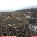 14_10-nest.jpg