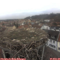 14_20-nest.jpg