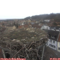 14_55-nest.jpg