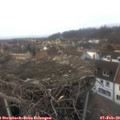 15_45-nest.jpg