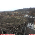 15_50-nest.jpg