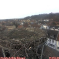 16_10-nest.jpg
