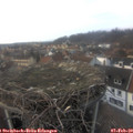 16_15-nest.jpg