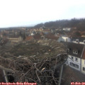 16_45-nest.jpg