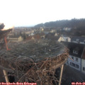 07_55-nest.jpg