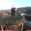 08_15-nest.jpg