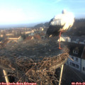 08_20-nest.jpg
