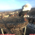 08_35-nest.jpg
