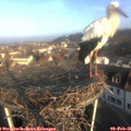 08_40-nest.jpg