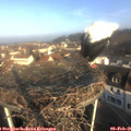 08_55-nest.jpg