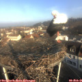 09_00-nest.jpg